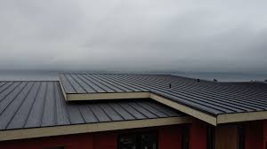 Best Roof Coating and Sealing  in Marlinton, WV